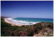 04 The Great Ocean Road (7)